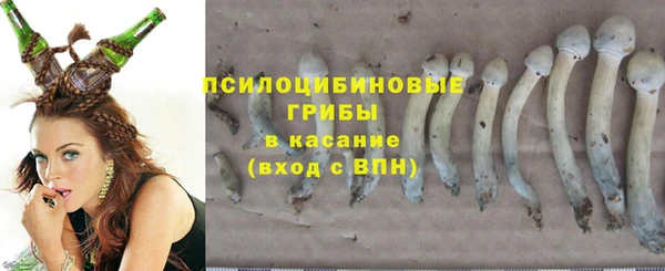 гашик Горно-Алтайск