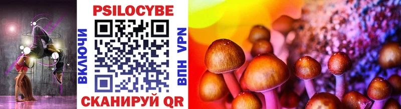 Псилоцибиновые грибы Psilocybine cubensis  Назрань 